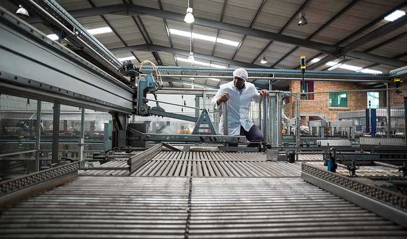 automated conveyor equipment - Factory engineer monitoring production line in drinks production plant