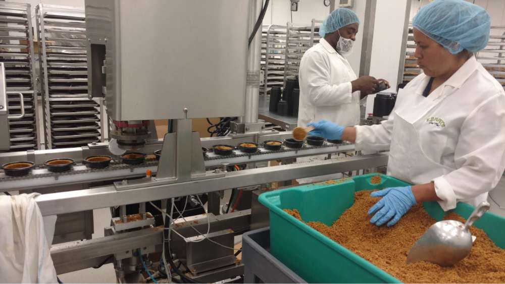 two employees in food production lin